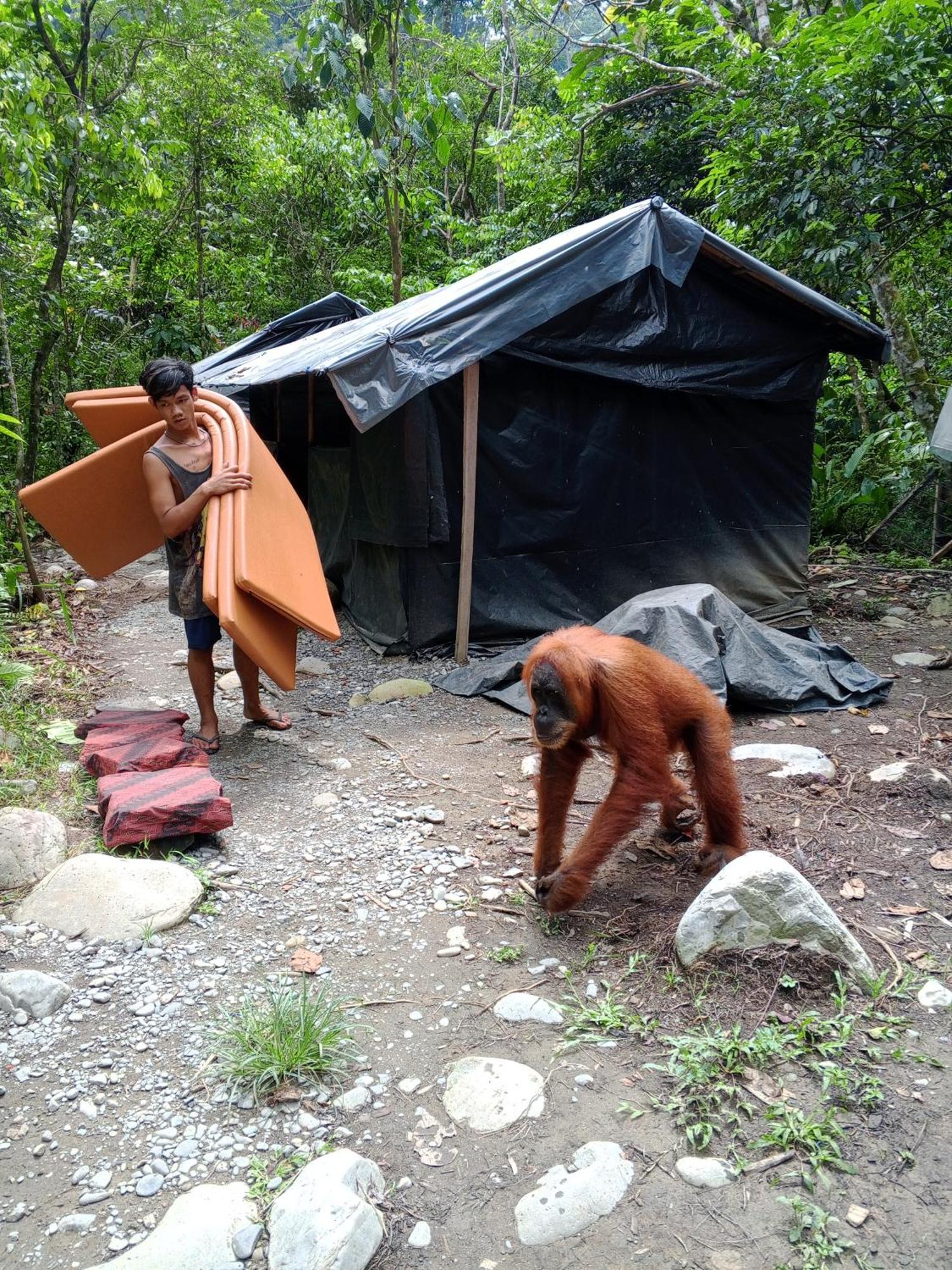 Sama Sama Homestay & Trekking Only Stay Here Book Trekking And Transport With Us بوكيت لاوانج المظهر الخارجي الصورة