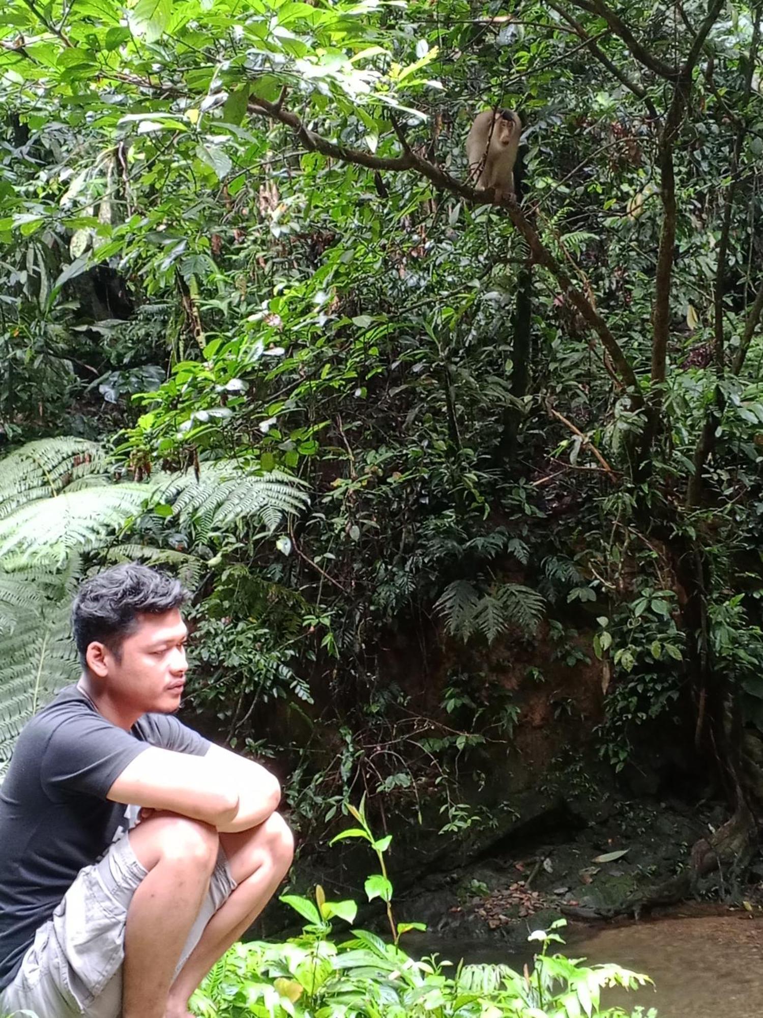 Sama Sama Homestay & Trekking Only Stay Here Book Trekking And Transport With Us بوكيت لاوانج المظهر الخارجي الصورة